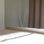 アパート Gem ティラナ